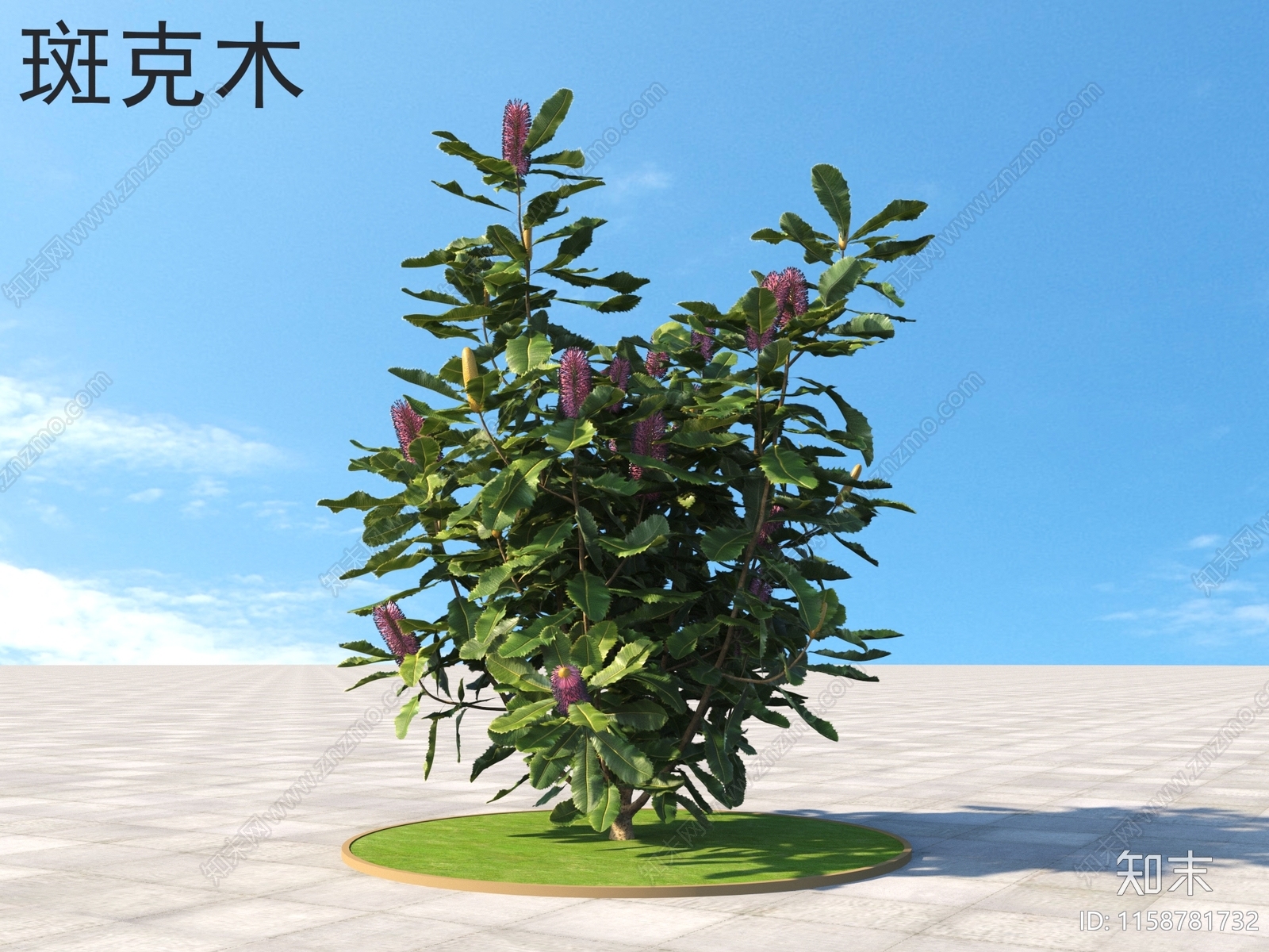 斑克木3D模型下载【ID:1158781732】