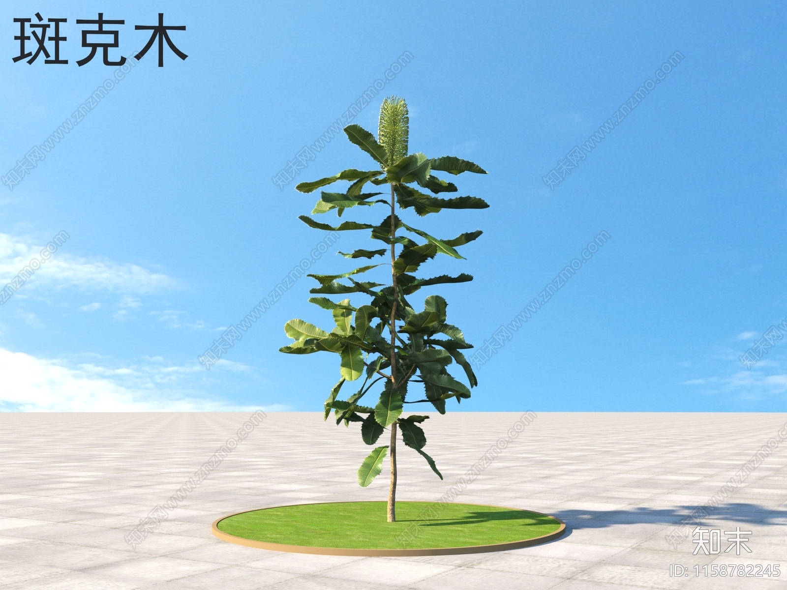 斑克木3D模型下载【ID:1158782245】