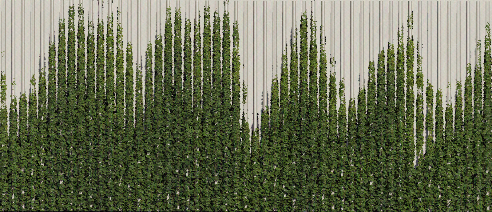 png免扣绿植墙贴图下载【ID:1158782873】