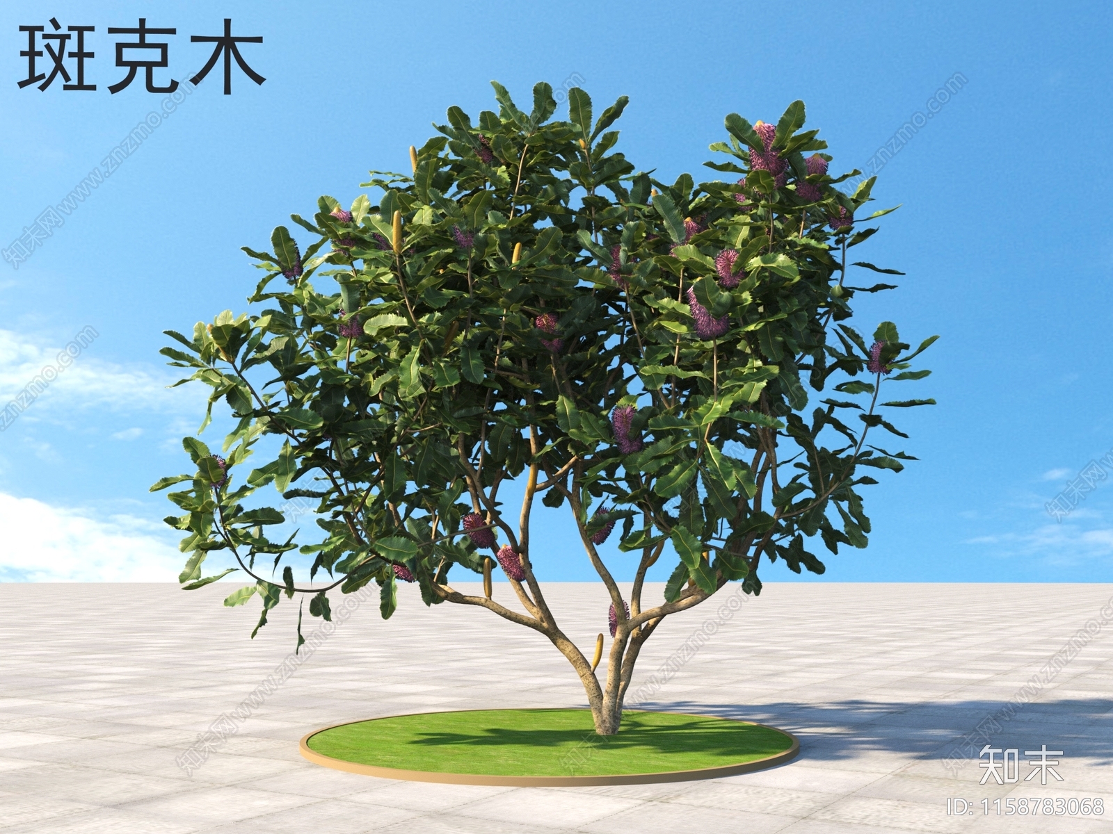 斑克木3D模型下载【ID:1158783068】