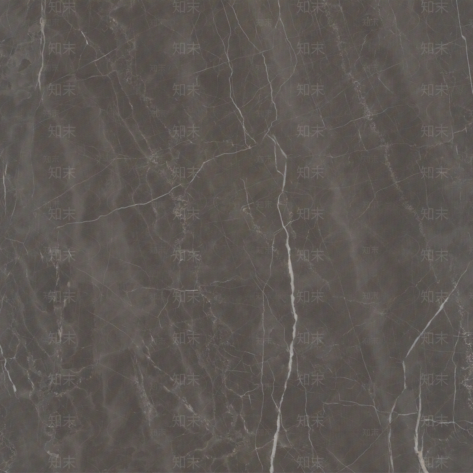 劳伦斯金贴图下载【ID:1158793367】