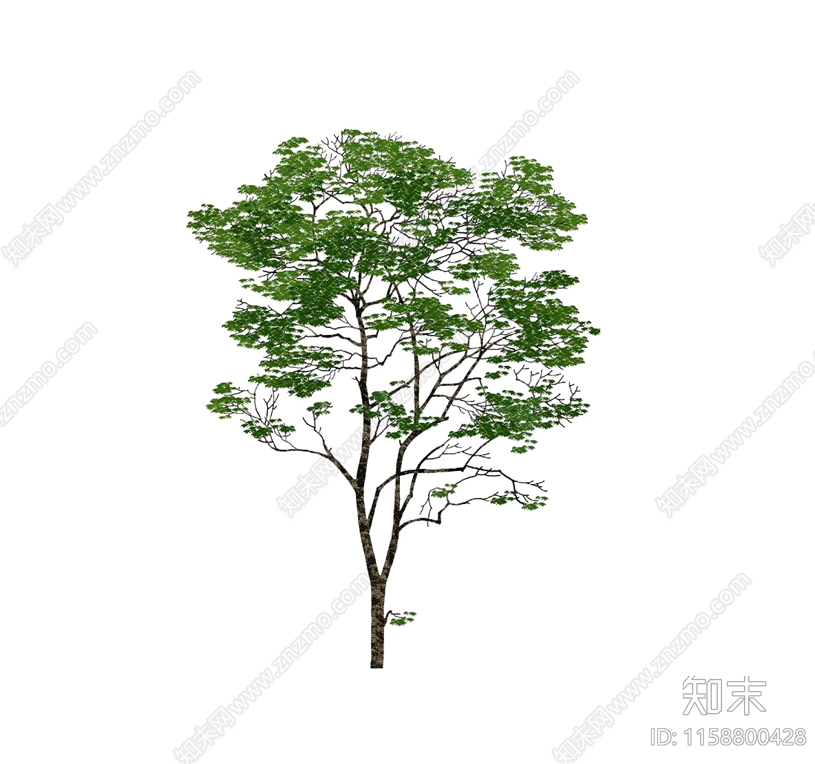 psd免抠景观树乔木植物庭院树景观树前景树造型树大树行道树贴图下载【ID:1158800428】_【知末网贴图库】