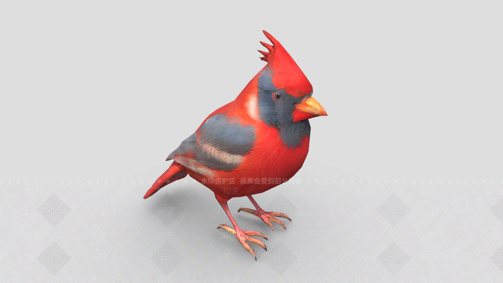 鹦鹉3D模型下载【ID:1158818452】