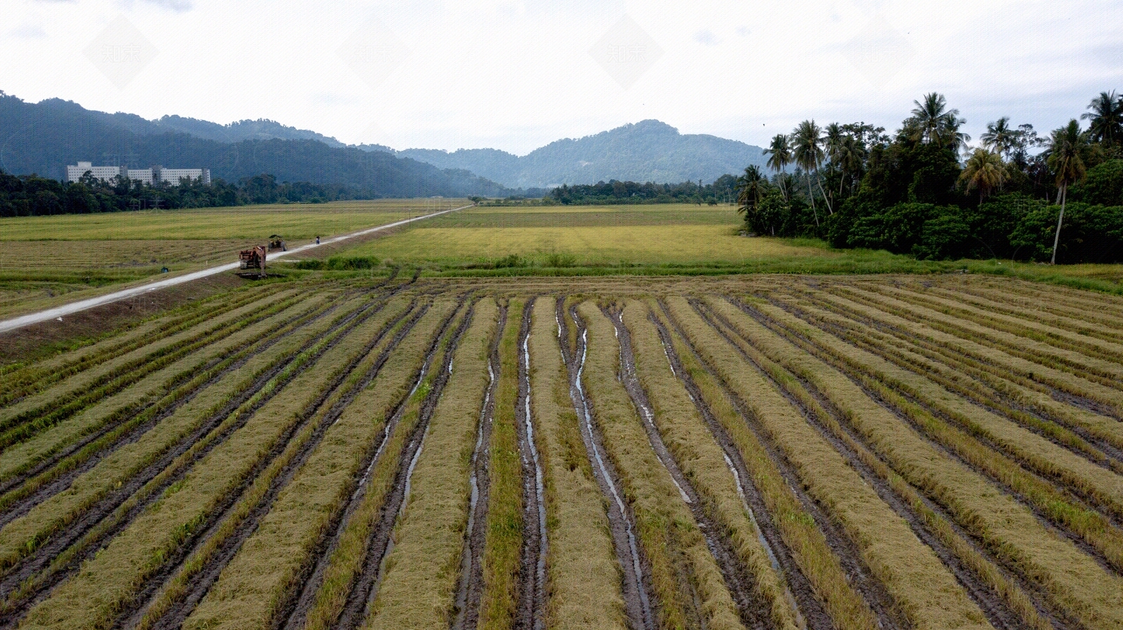 农田人视角土地天空贴图下载【ID:1158879663】