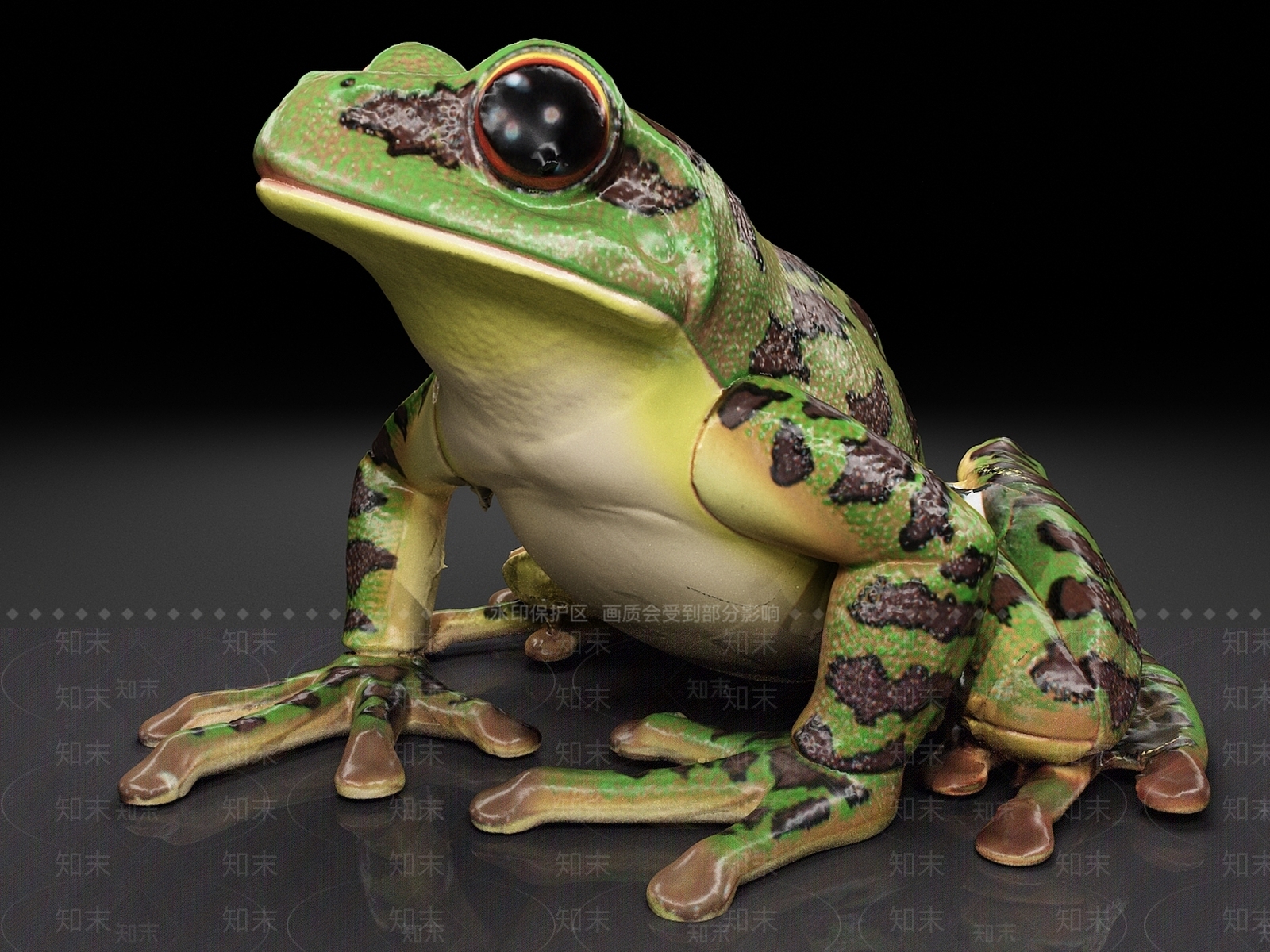 青蛙3D模型下载【ID:1158891261】