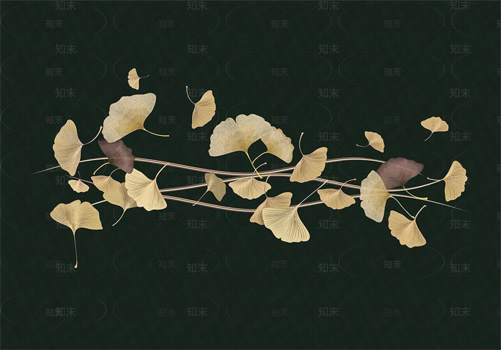 植物壁纸高清贴图材质