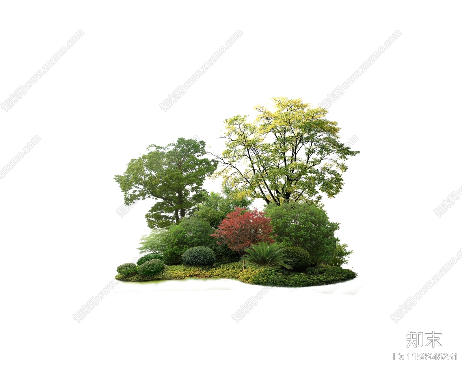 植物组团设计素材精品下载_知末网