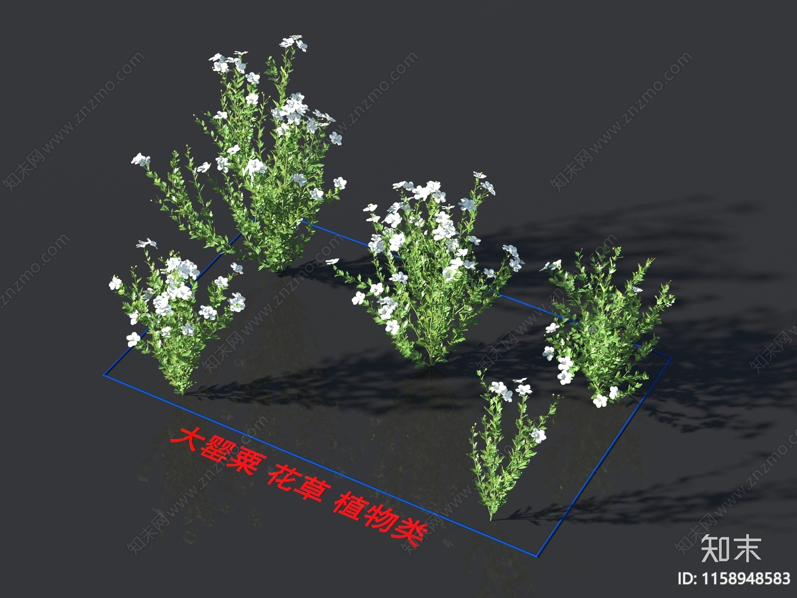 大罂粟3D模型下载【ID:1158948583】