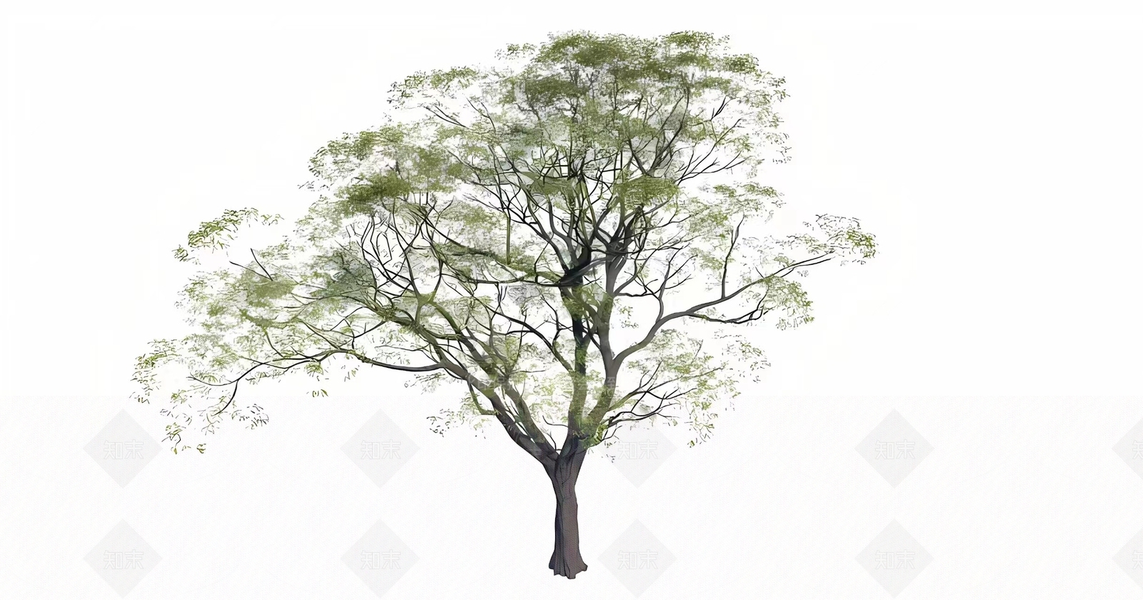 乔木3D模型下载【ID:1158957139】