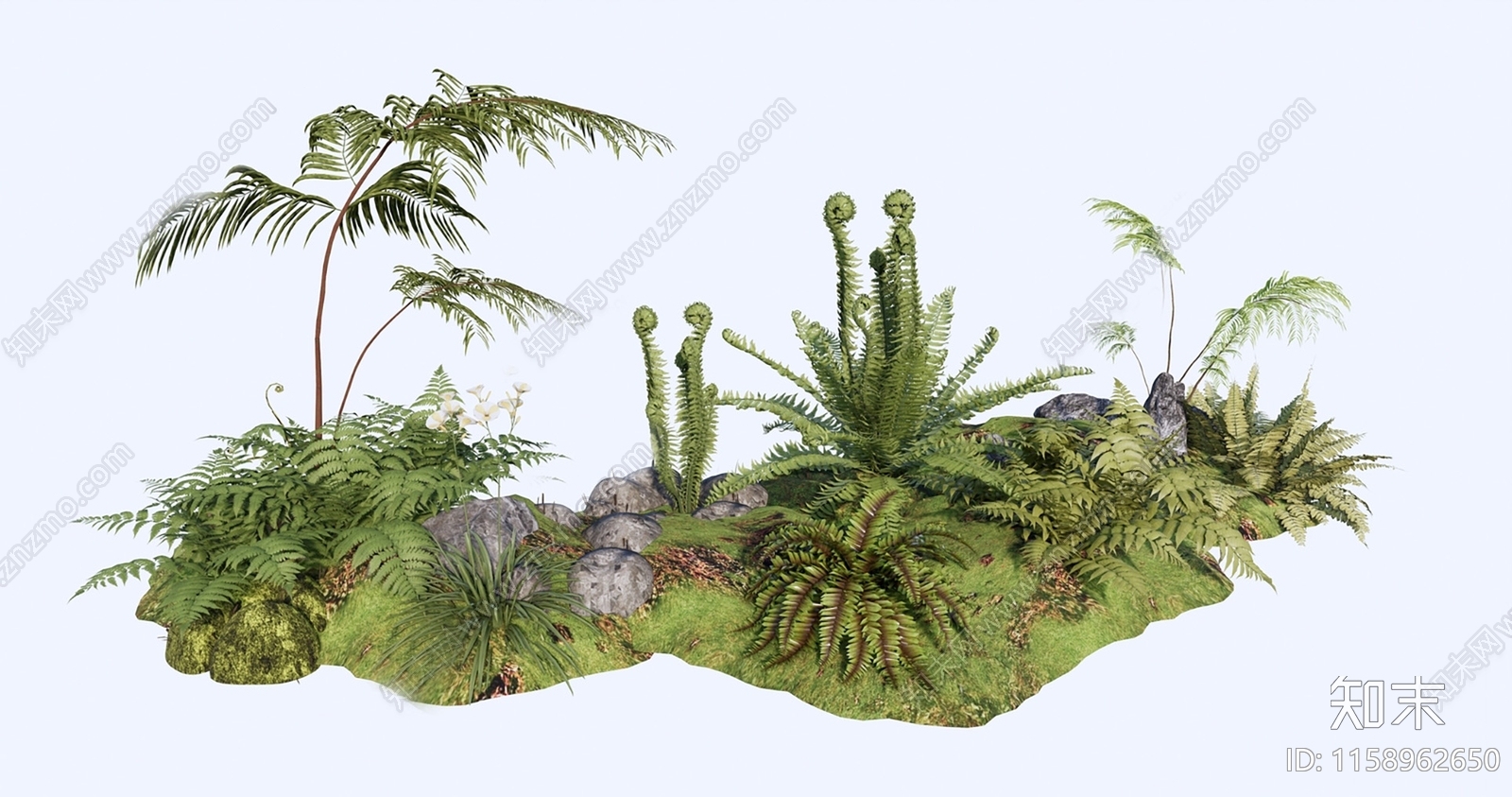 现代蕨类植物组合3D模型下载【ID:1158962650】