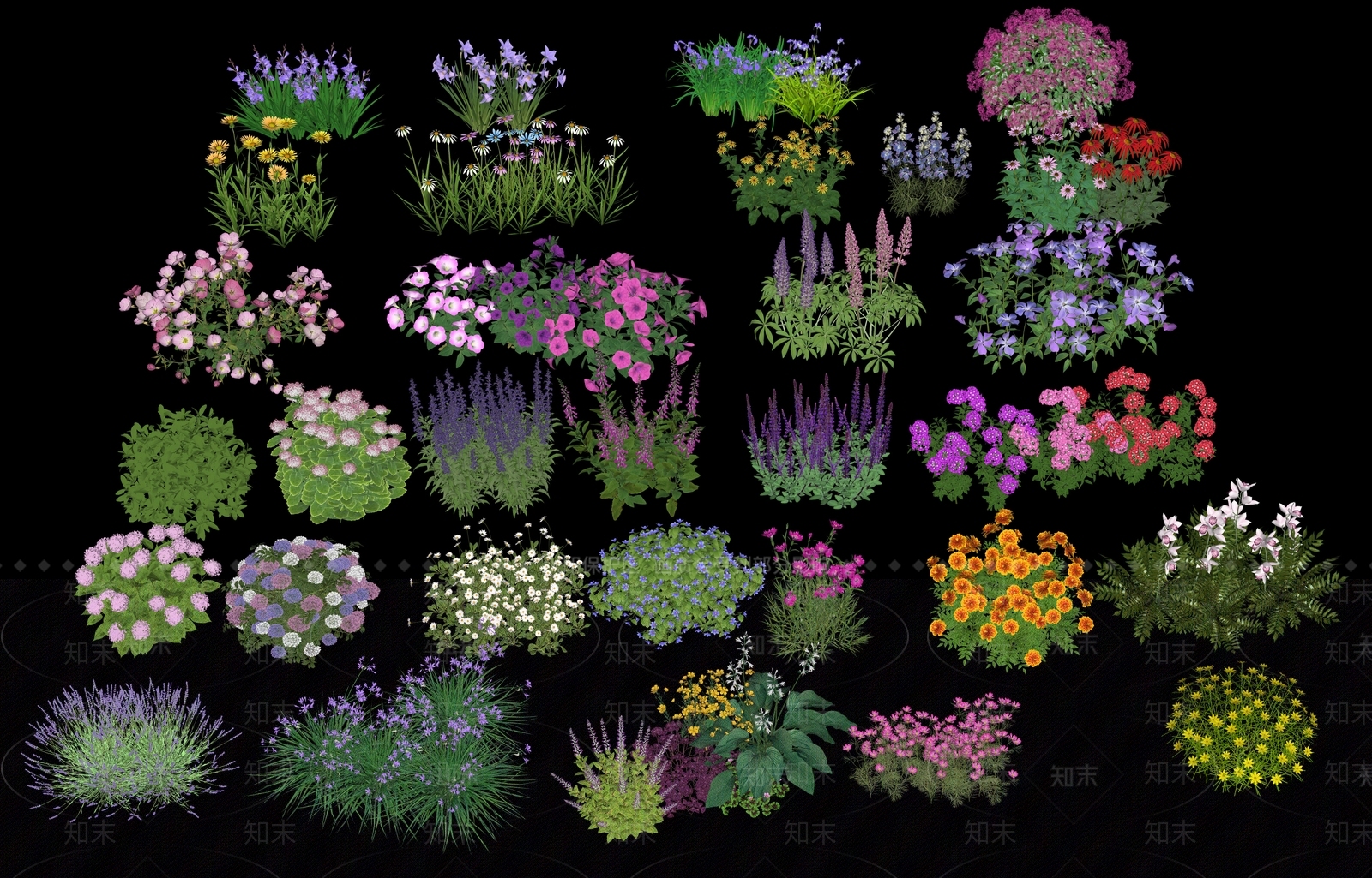 各种花卉植物SU模型下载【ID:1158991355】