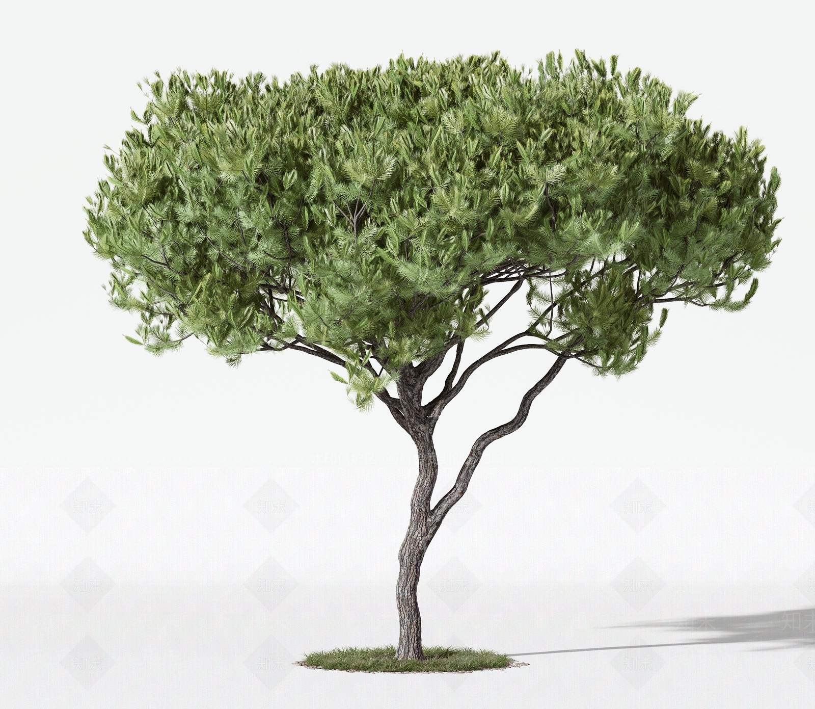 现代树木3D模型下载【ID:1158992161】