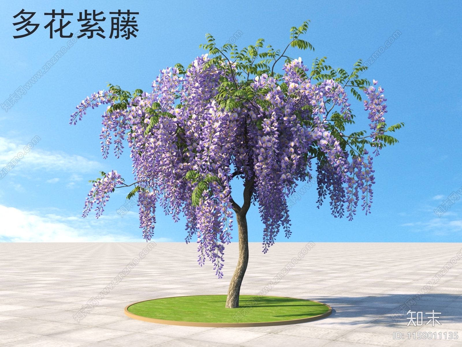 多花紫藤3D模型下载【ID:1159011135】