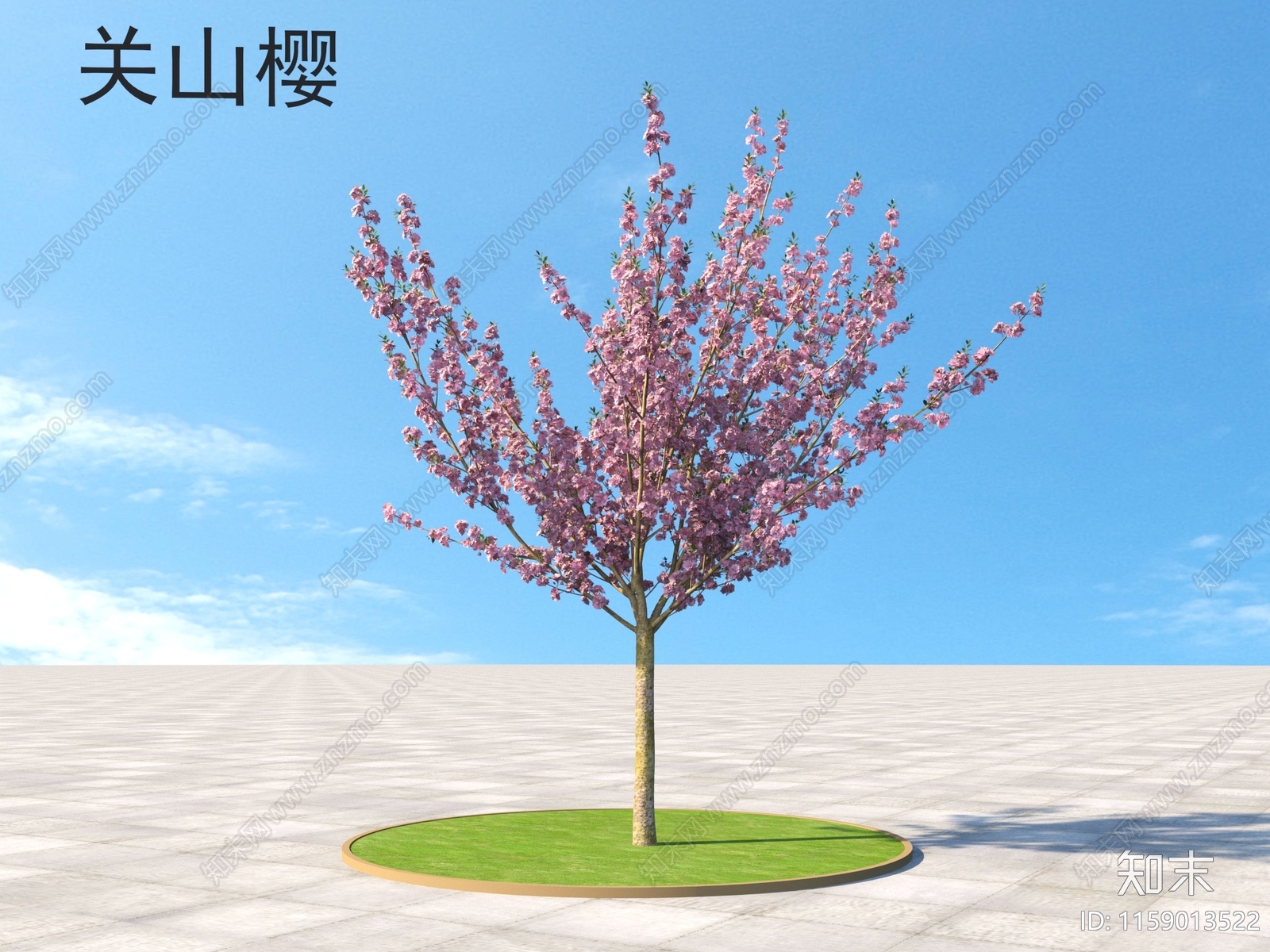 关山樱3D模型下载【ID:1159013522】