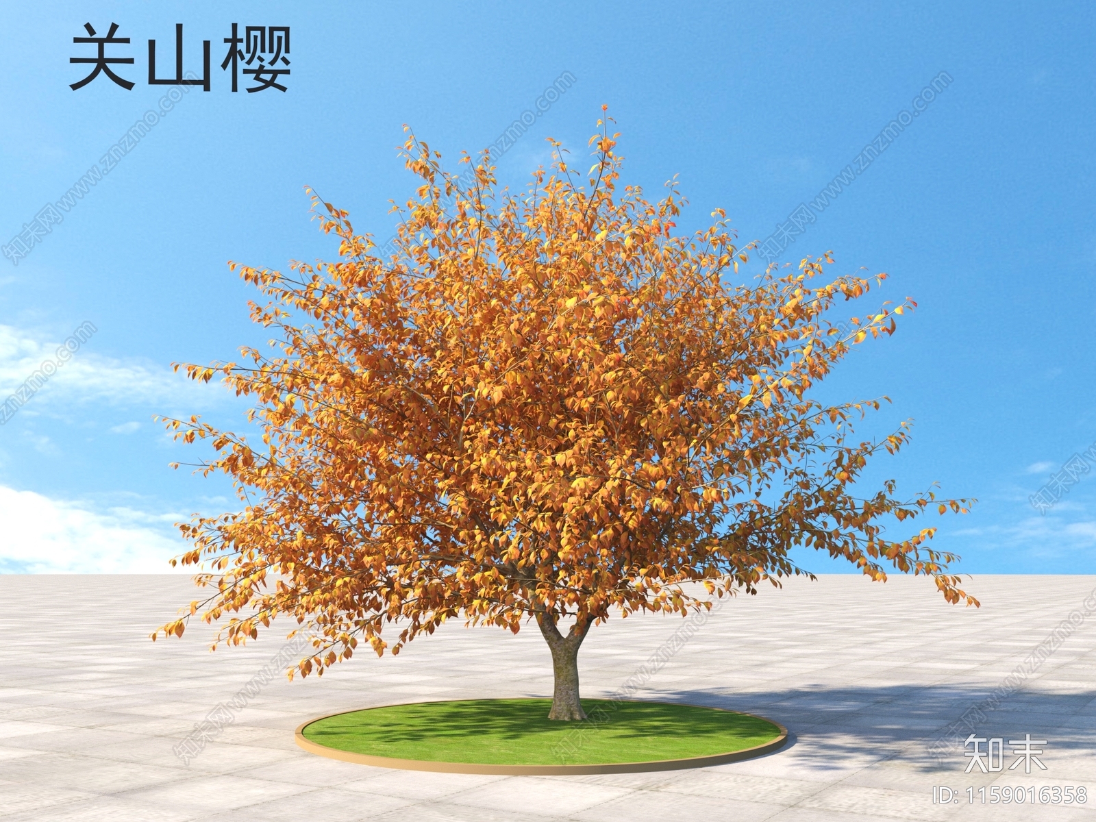 关山樱3D模型下载【ID:1159016358】