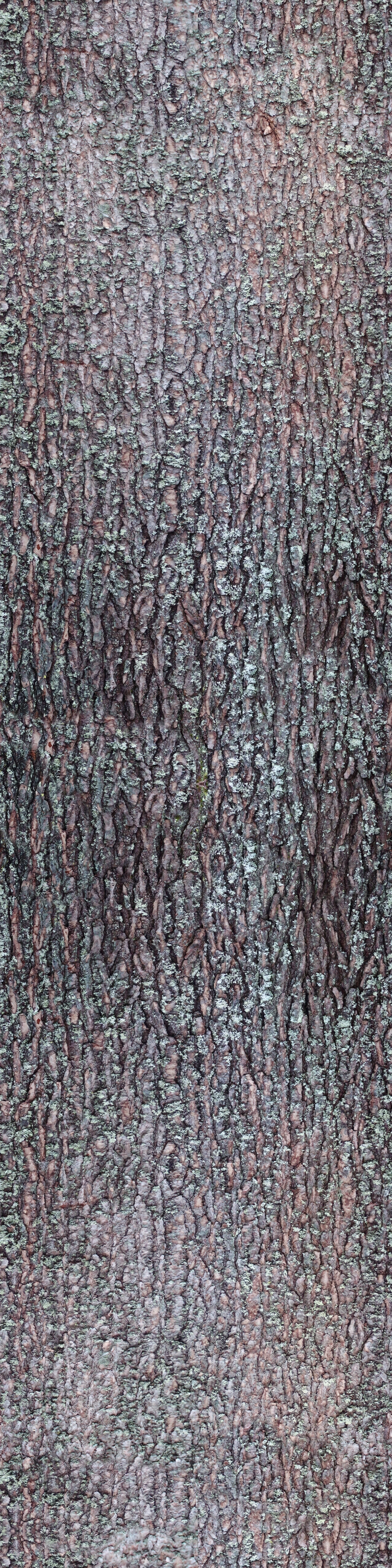 污渍贴图下载【ID:1159034037】