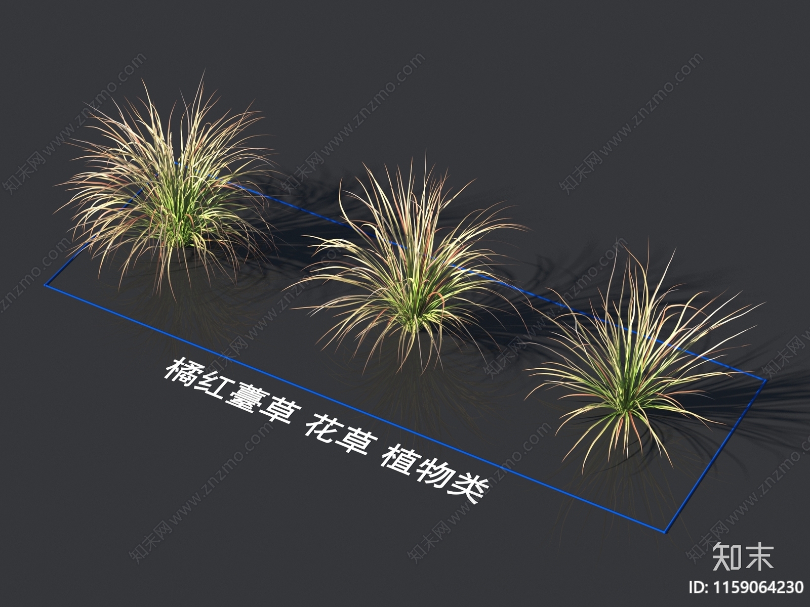 橘红薹草3D模型下载【ID:1159064230】