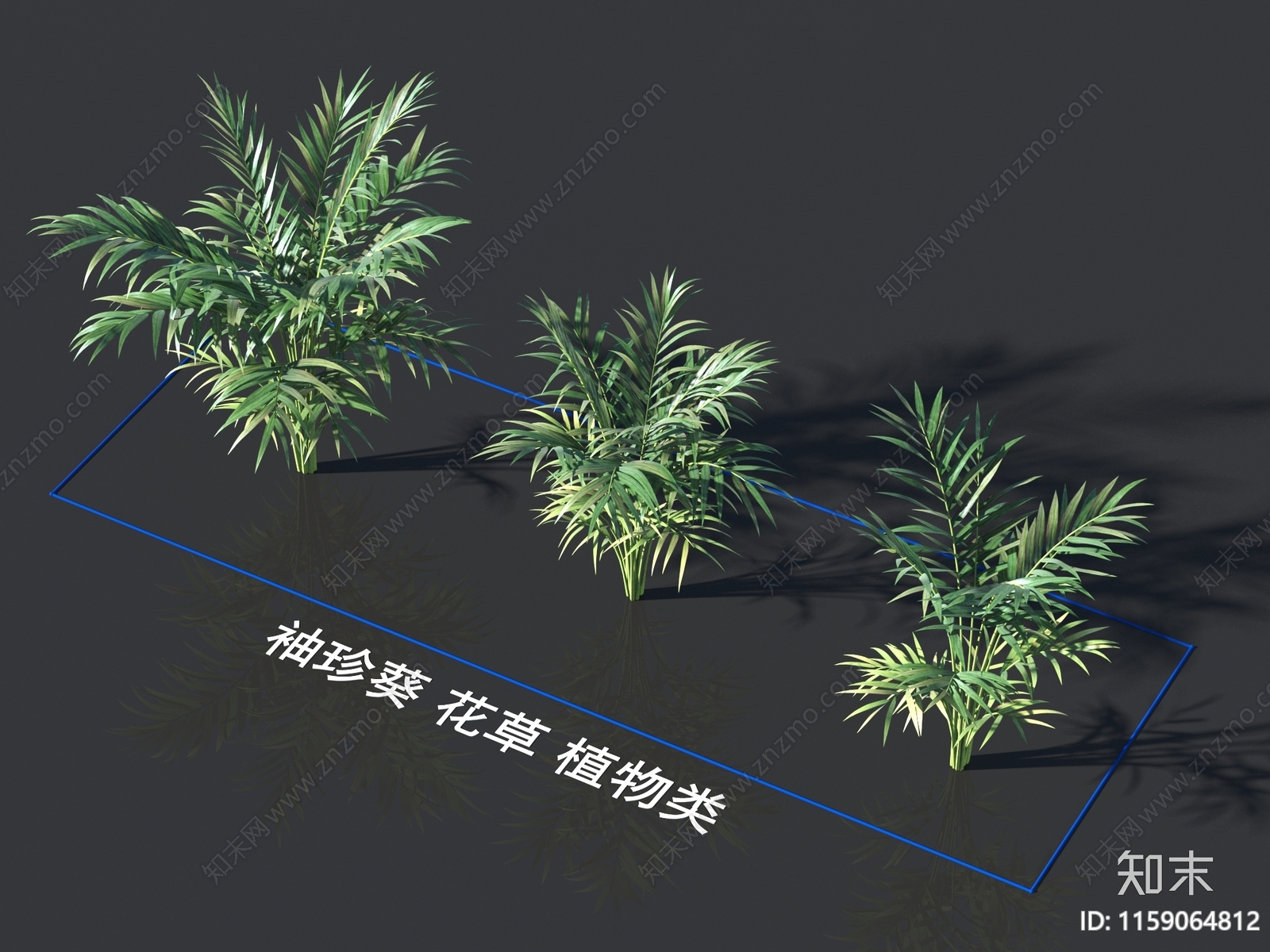 袖珍葵3D模型下载【ID:1159064812】