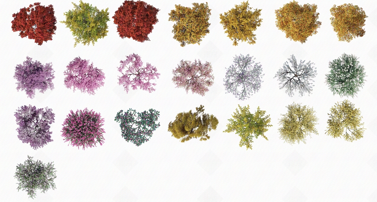 景观园林园艺规划平面树psd免扣小清新贴图下载【ID:1159092376】