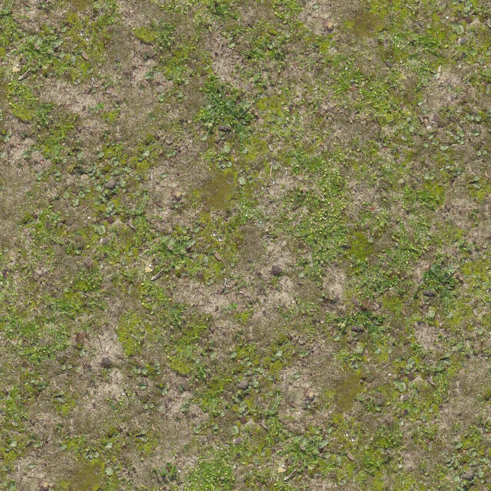 无缝草地草皮草坪草坡贴图下载【ID:1159096722】