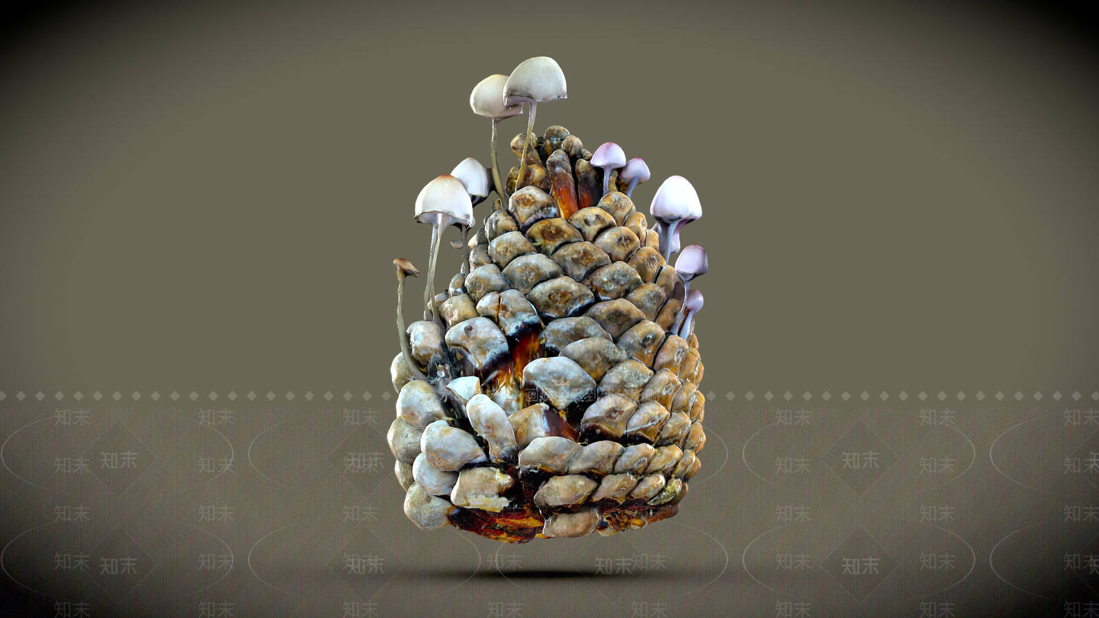 松果3D模型下载【ID:1159097441】