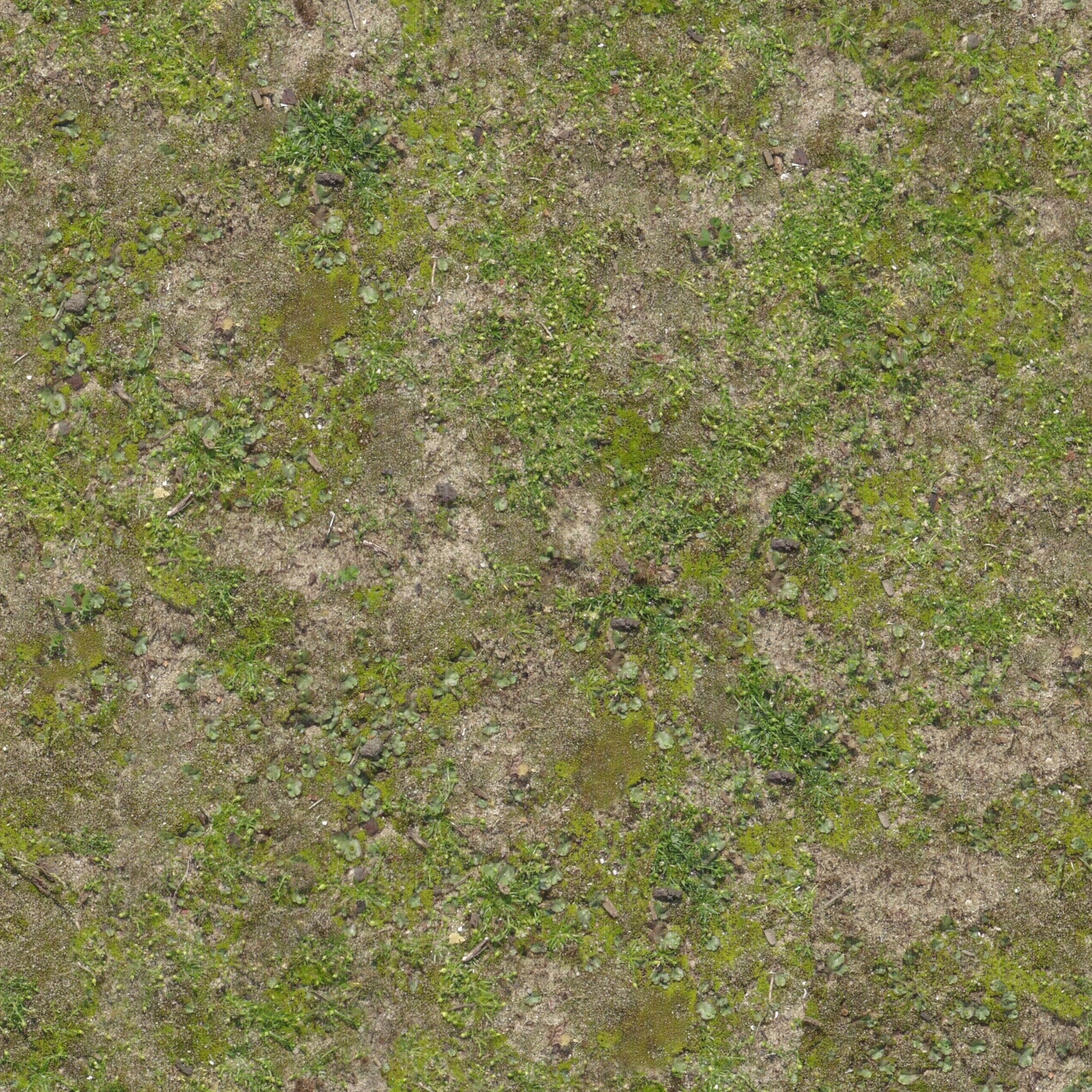 无缝草地草皮草坪贴图下载【ID:1159108463】