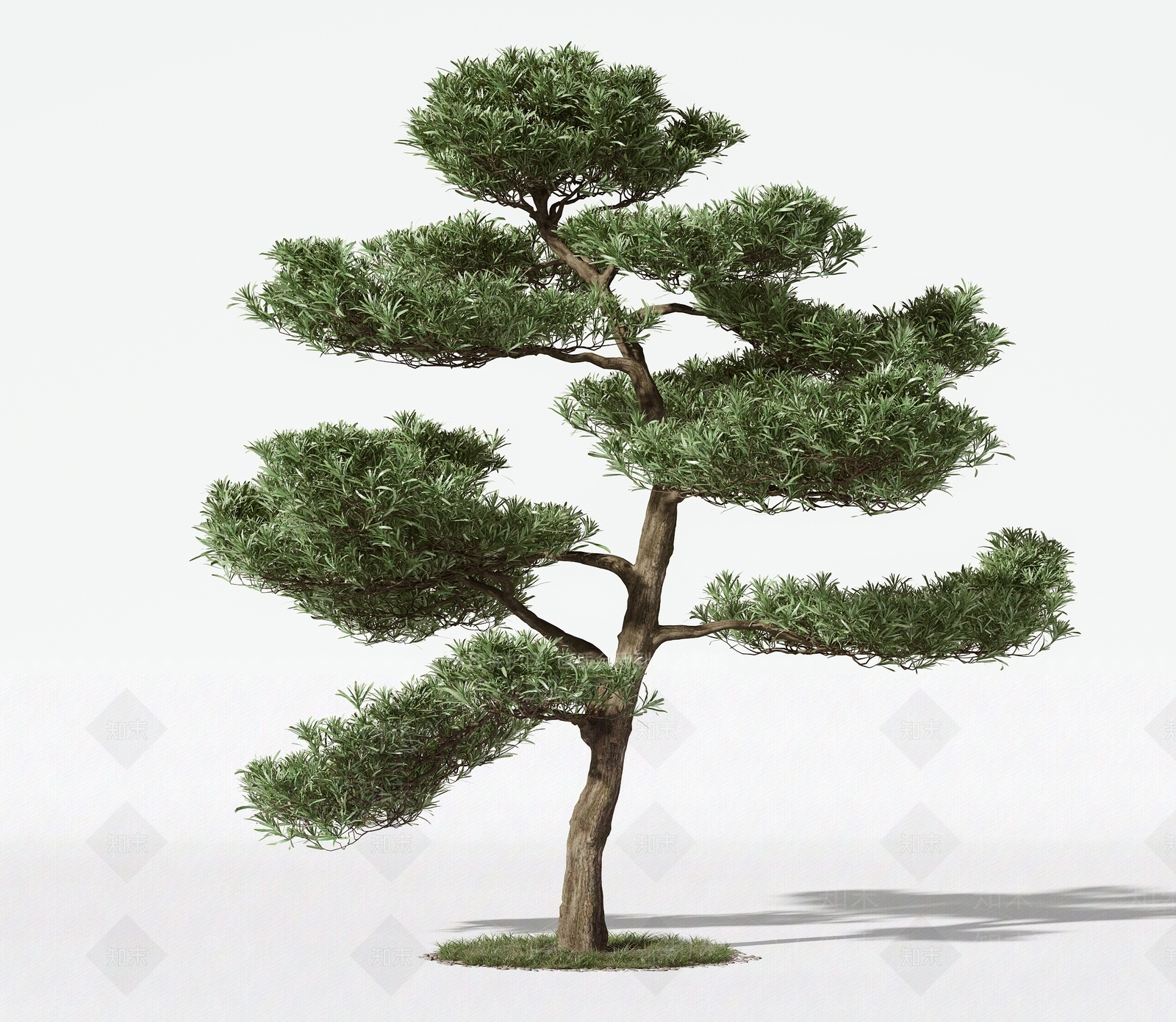 现代树木3D模型下载【ID:1159118897】