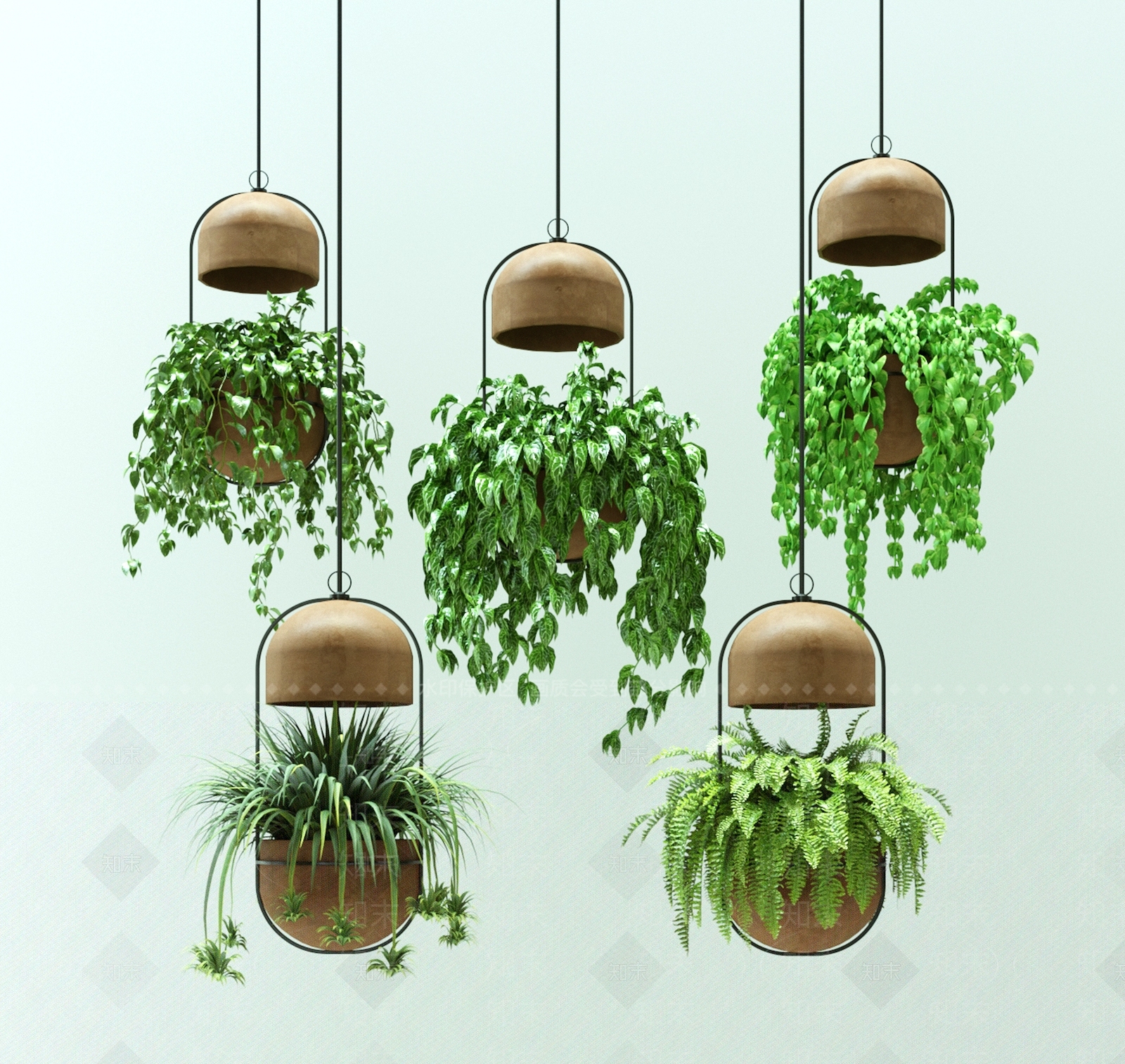 植物吊灯3D模型下载【ID:1159132354】