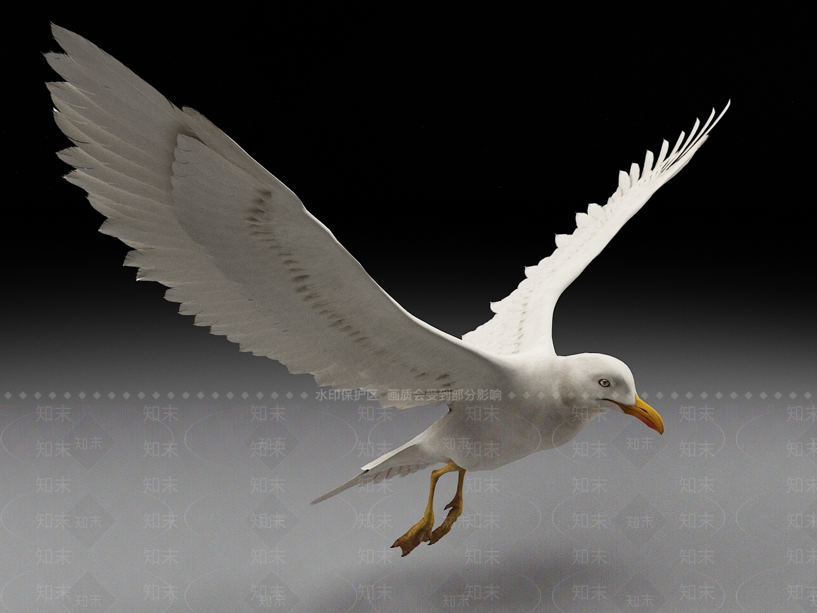海鸥3D模型下载【ID:1159133305】