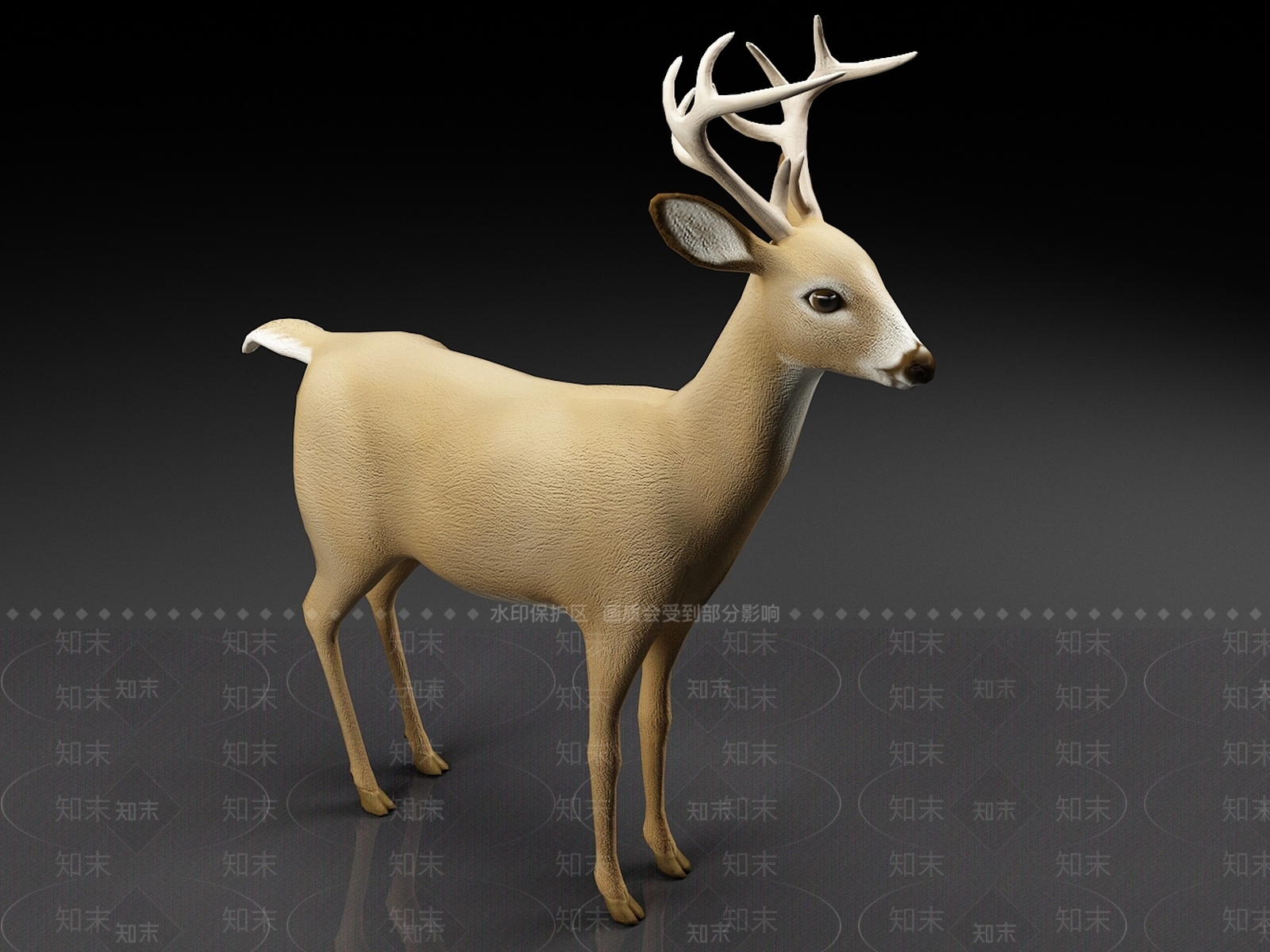 小鹿3D模型下载【ID:1159133654】