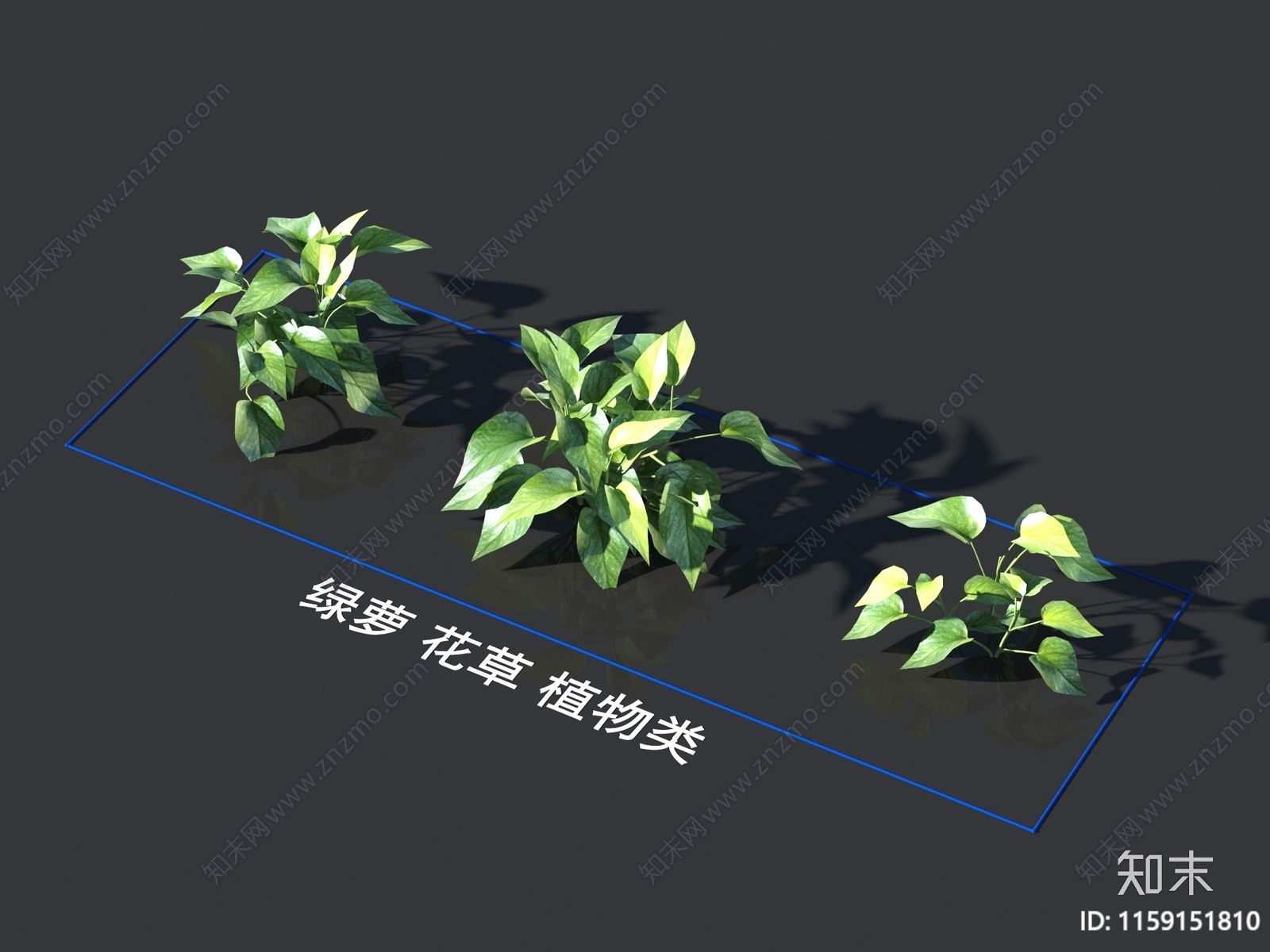 绿萝3D模型下载【ID:1159151810】