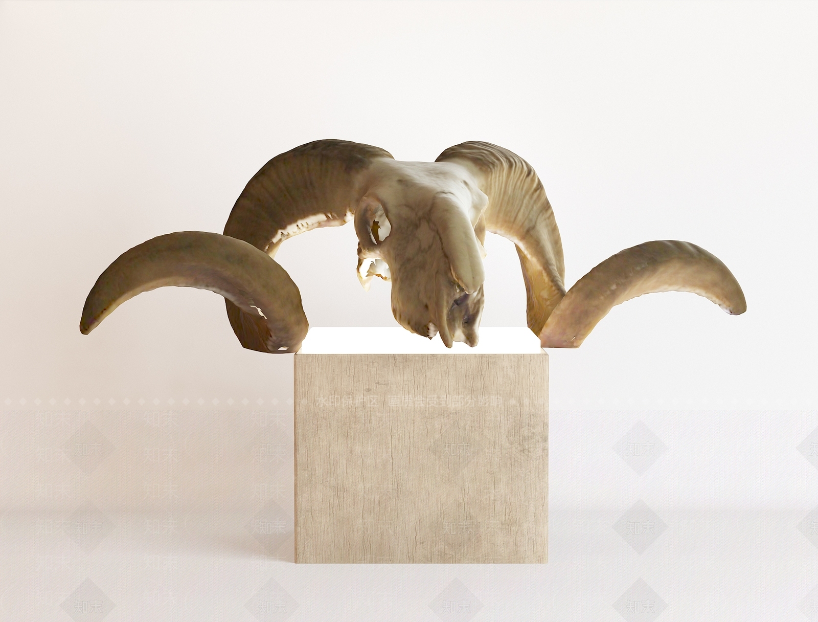 现代羊颅骨摆件SU模型下载【ID:1159155622】