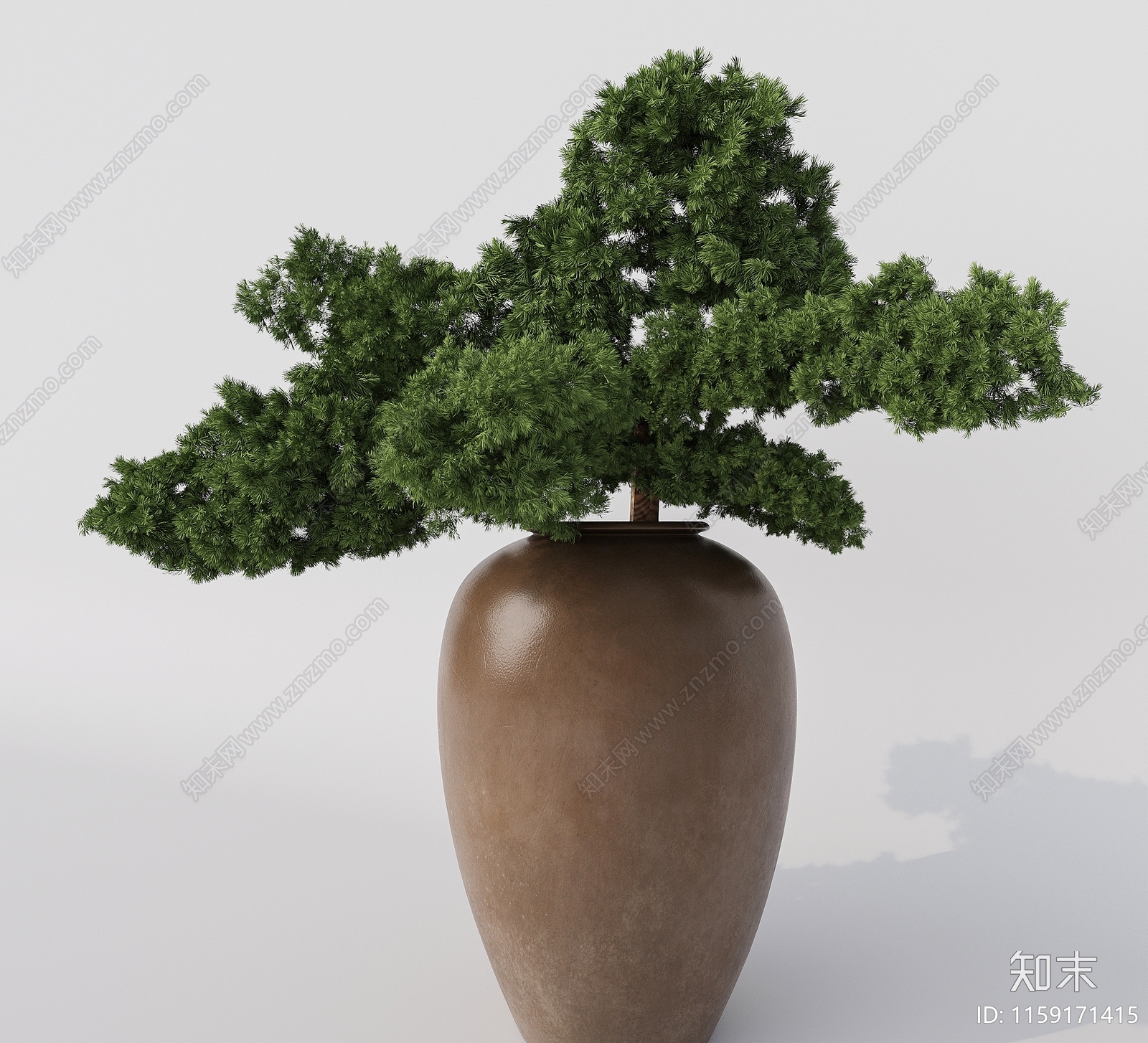 现代五针松盆景盆栽植物3D模型下载【ID:1159171415】