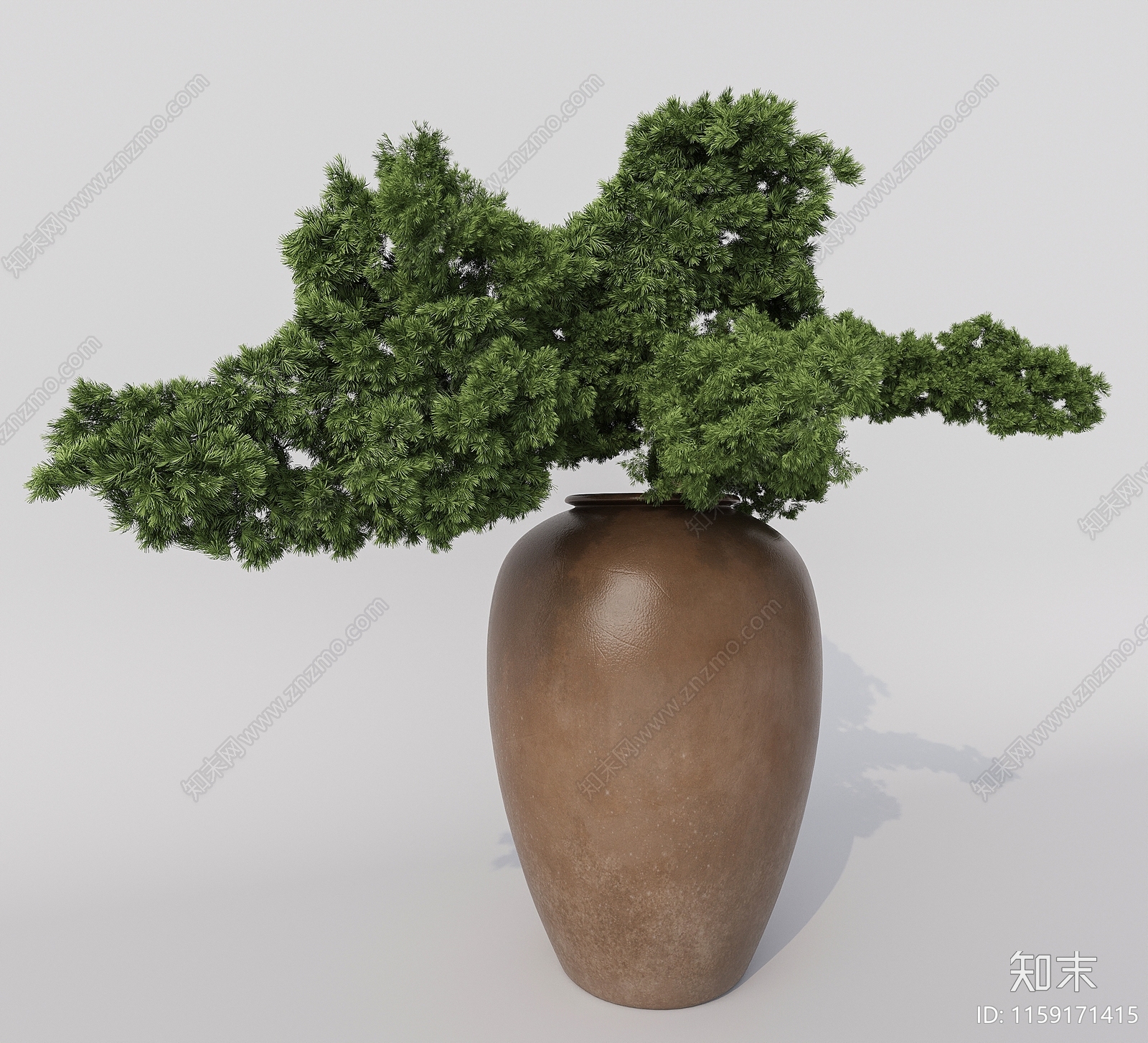 现代五针松盆景盆栽植物3D模型下载【ID:1159171415】