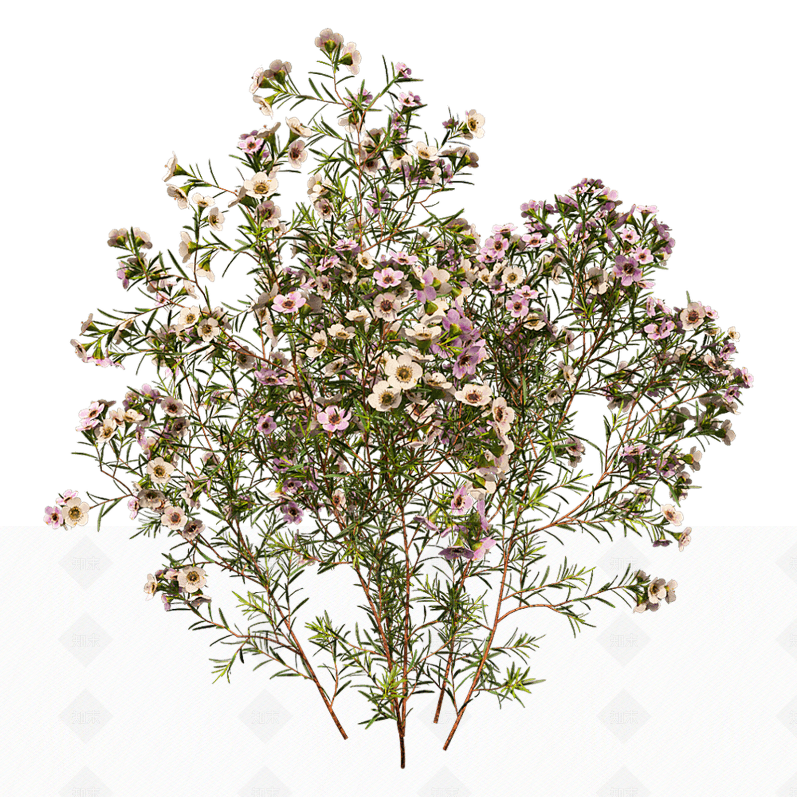 现代树景观树灌木植物3D模型下载【ID:1159182178】