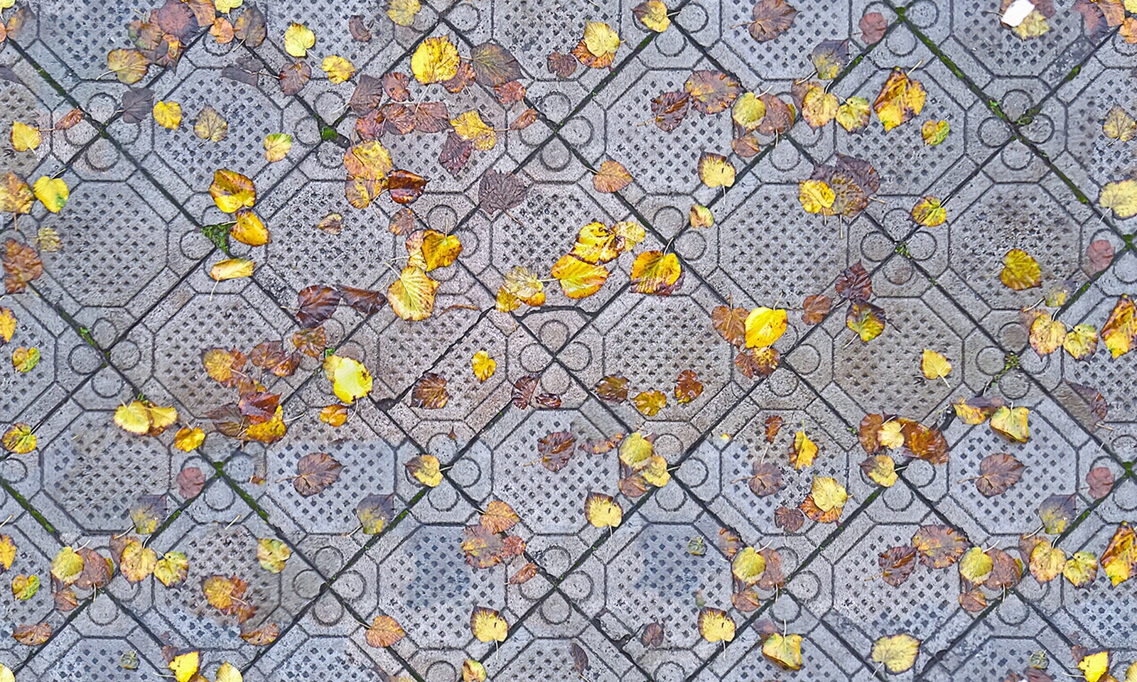 无缝枯黄枯枝落叶树叶草皮草地草坪道路地面贴图下载【ID:1159198323】