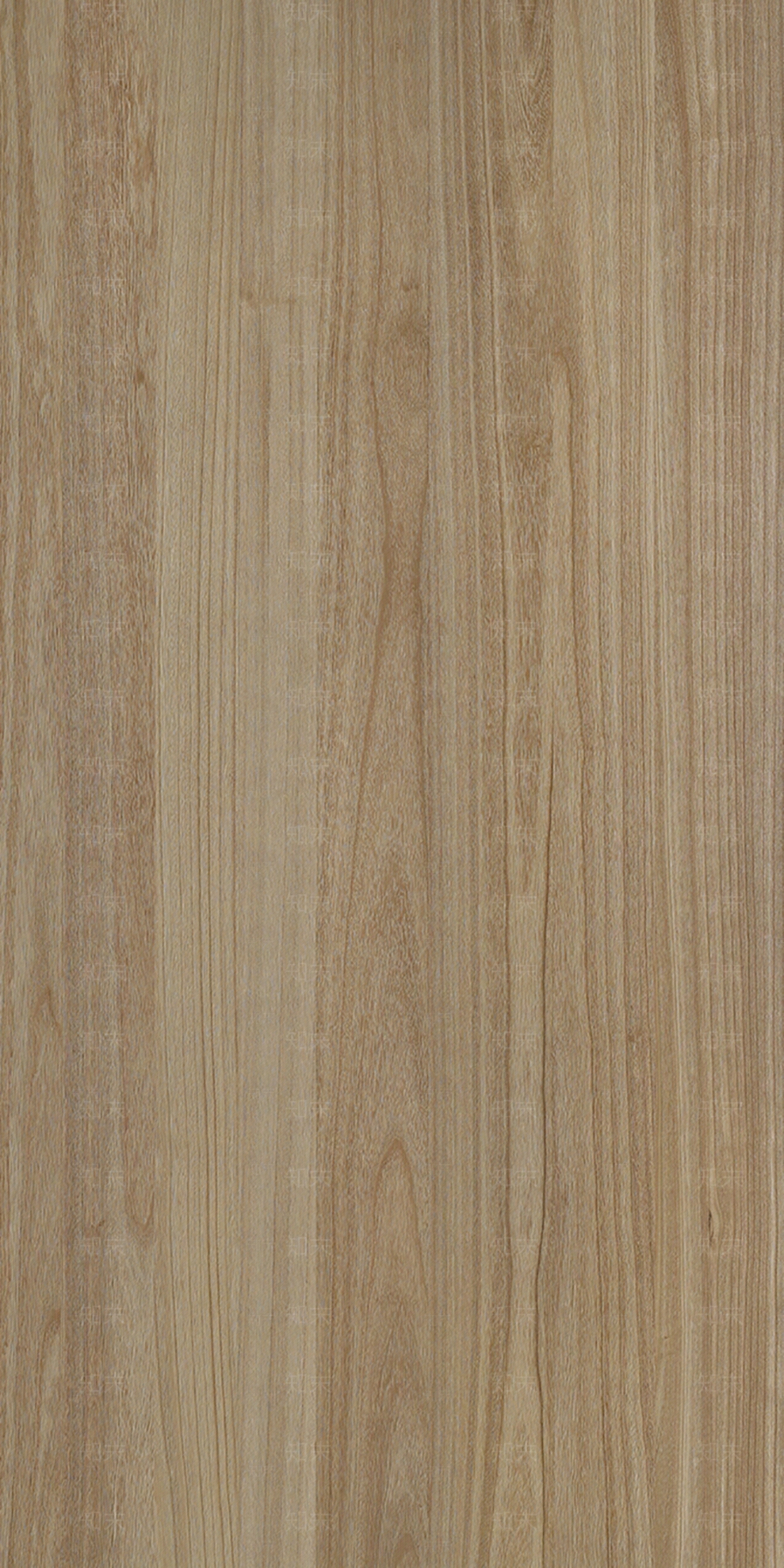 梧桐木钢刷实木拼原木木纹贴图下载【ID:1159201959】