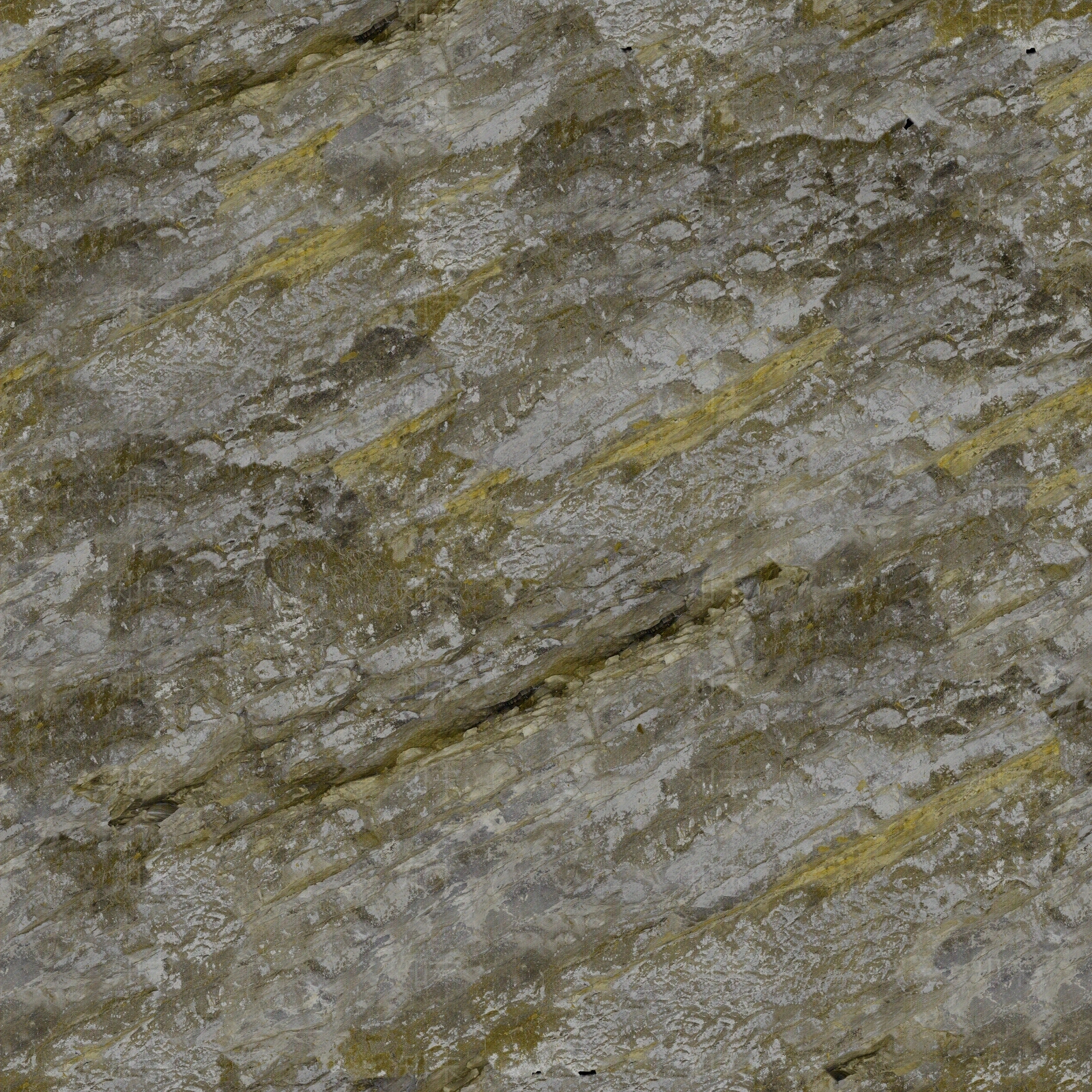 长青苔地面贴图下载【ID:1159223423】