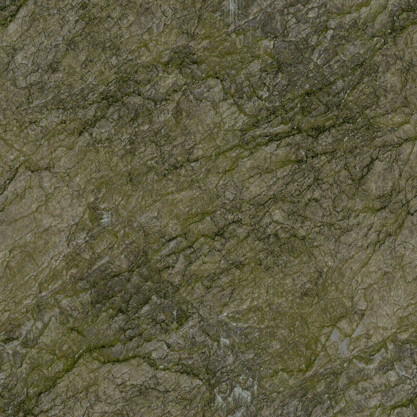 长青苔墙面地面贴图下载【ID:1159226716】