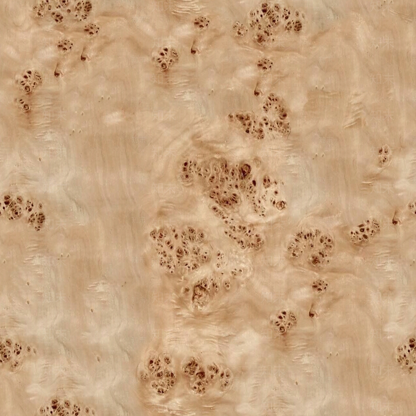 无缝原木色树瘤科技木皮贴图下载【ID:1159236088】