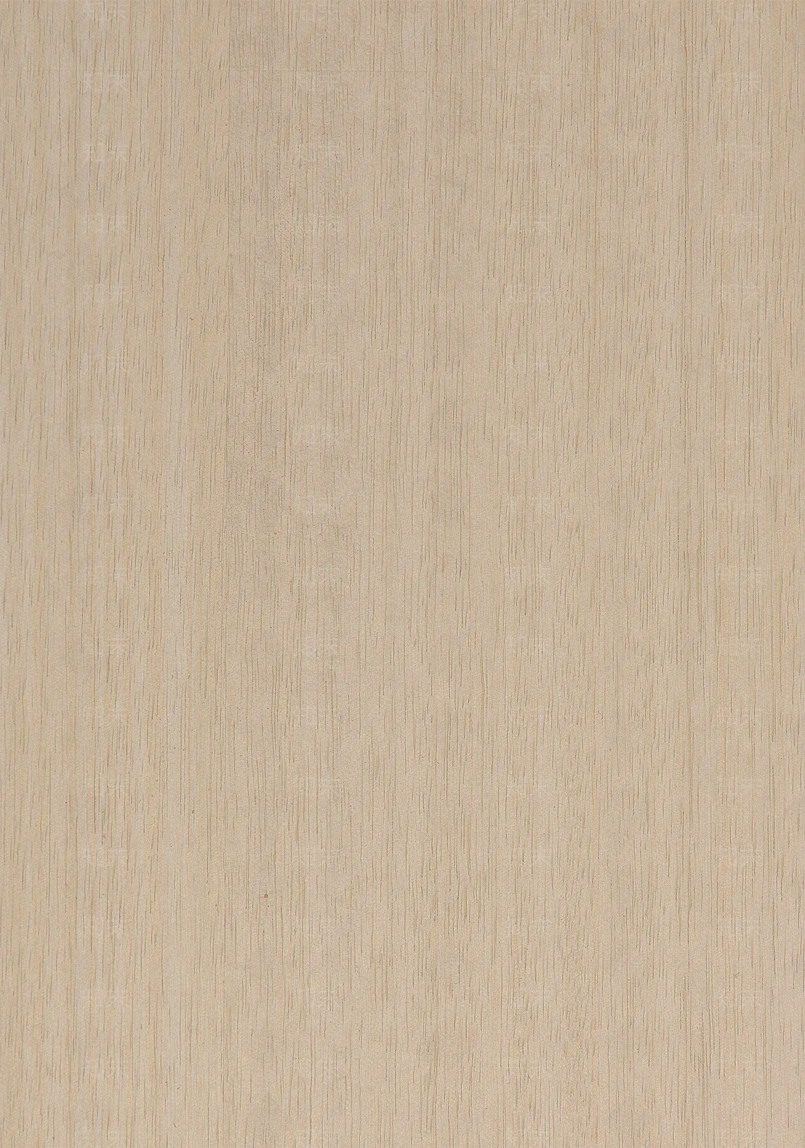 浅木纹色木饰面贴图下载【ID:1159261572】