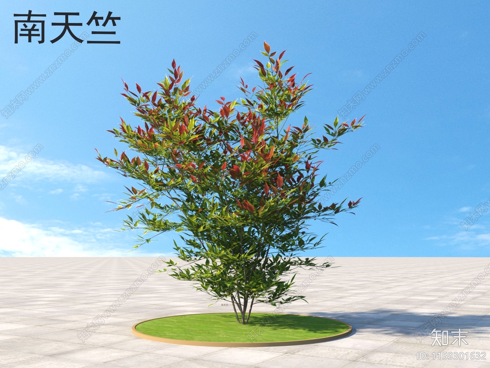 南天竺3D模型下载【ID:1159301632】