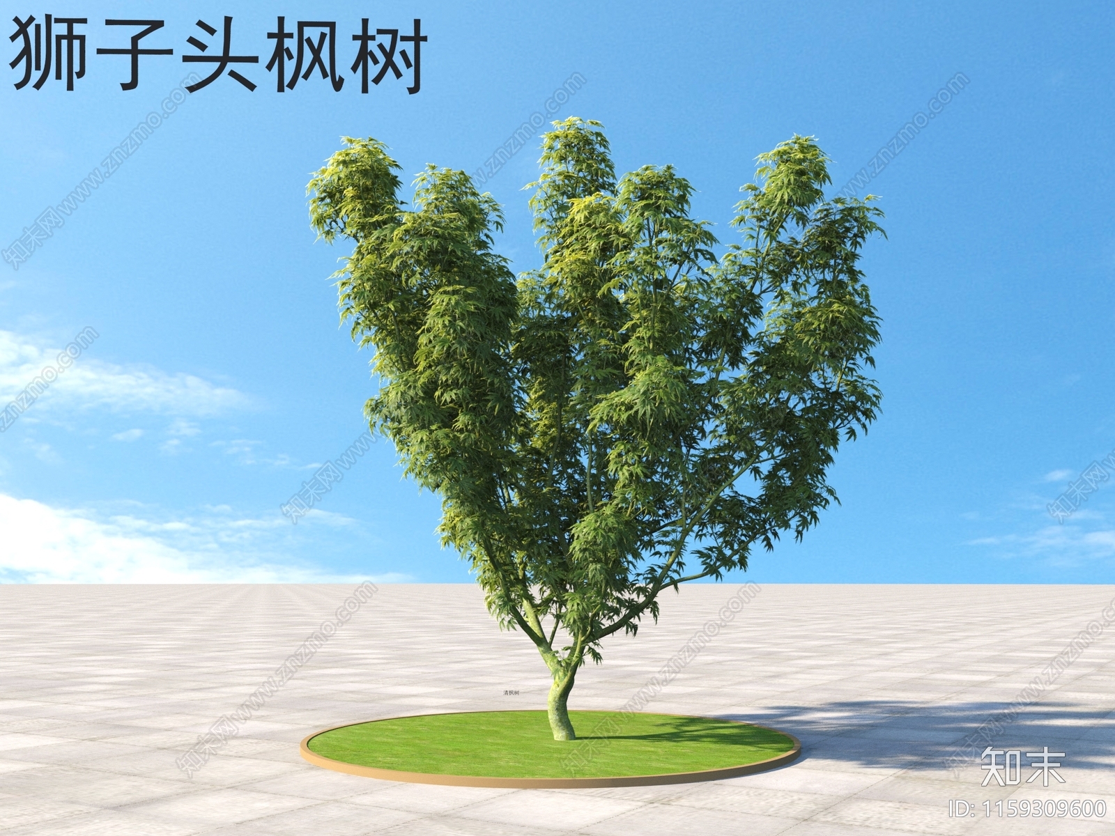 狮子头枫树3D模型下载【ID:1159309600】