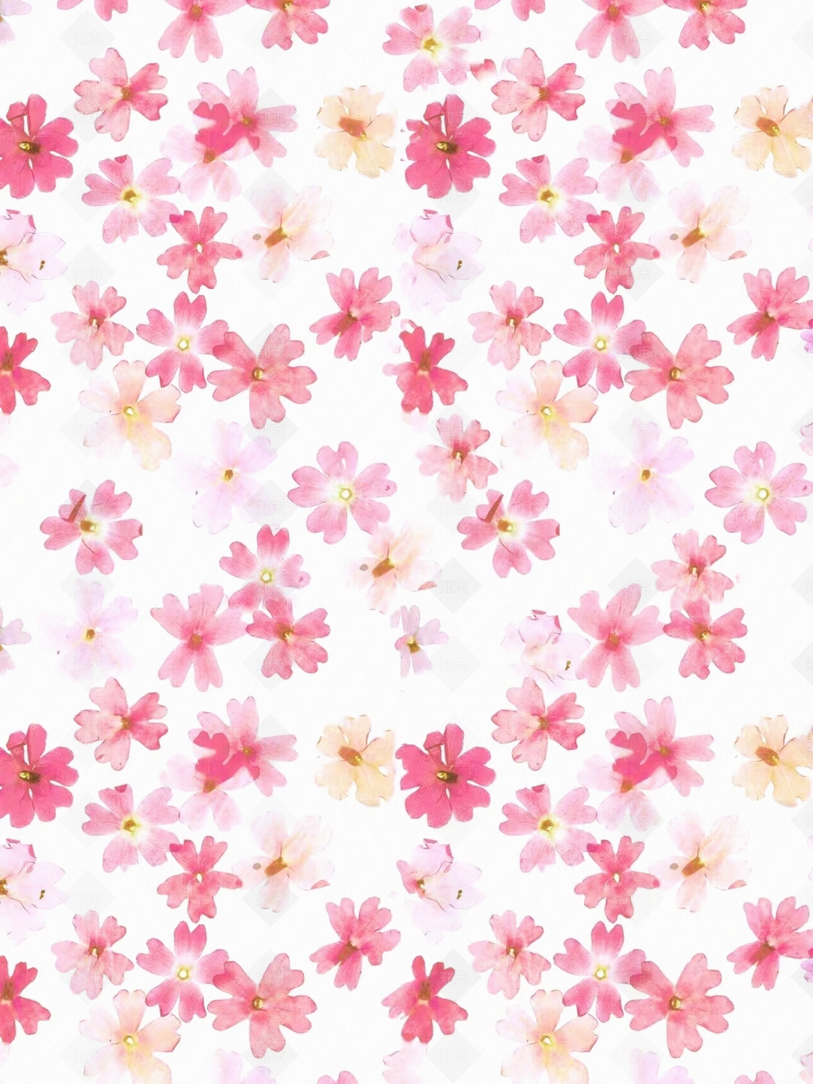 碎花田园风贴图下载【ID:1159310696】