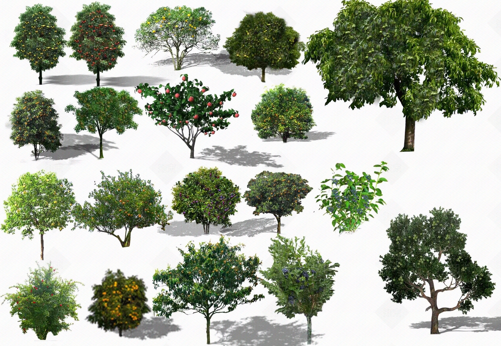 PSD免扣果树景观园林园艺效果图素材贴图下载【ID:1159353684】