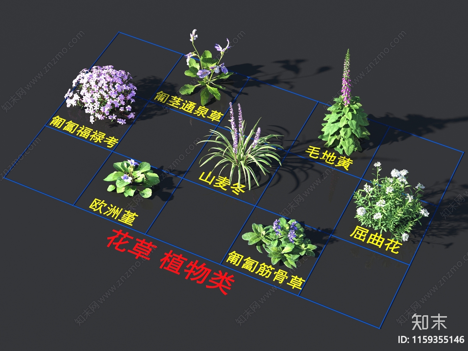 毛地黄3D模型下载【ID:1159355146】