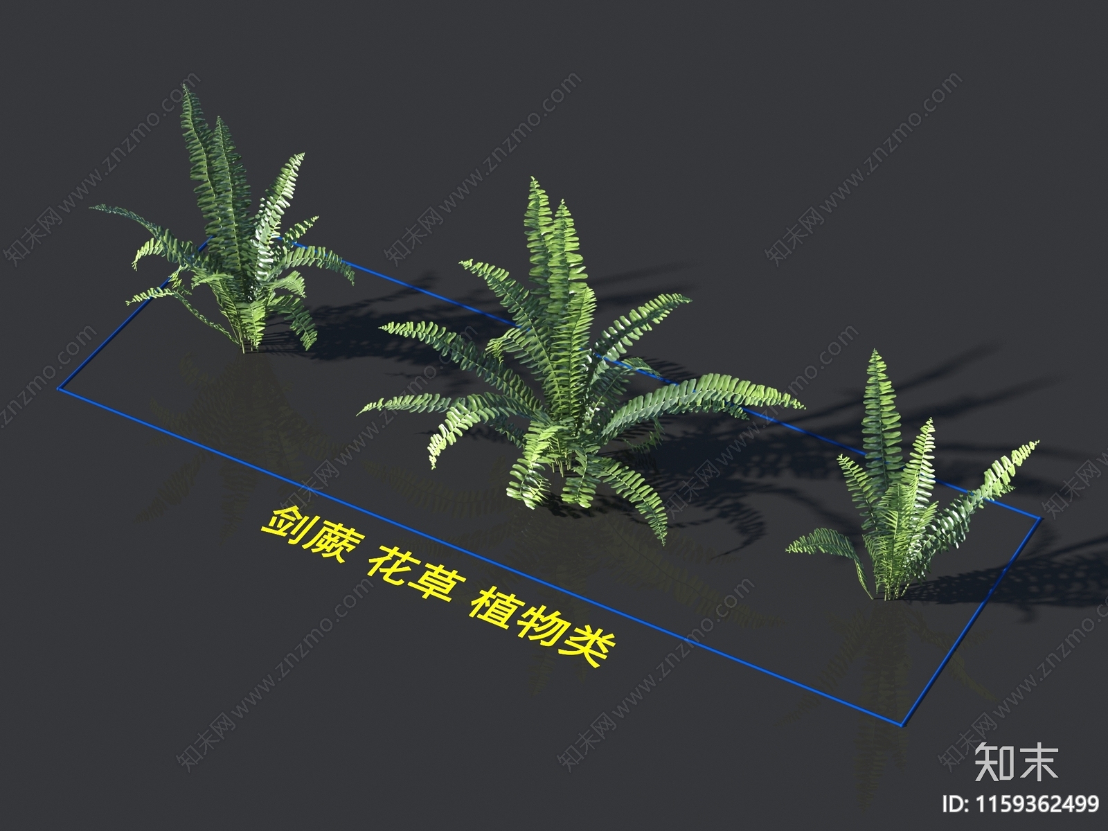 剑蕨3D模型下载【ID:1159362499】