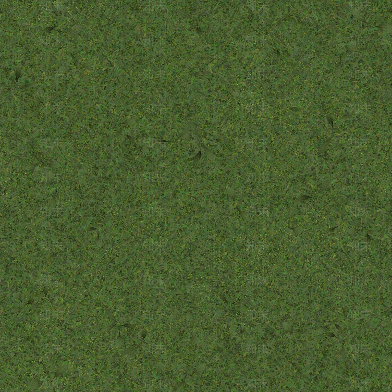 草坪植物墙贴图下载【ID:1159369333】