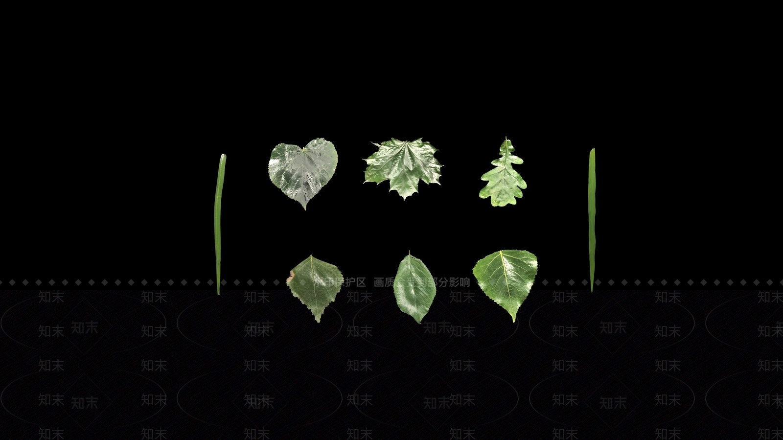 杨树橡树枫树菩提树细叶草杂草樱桃樱花树叶桦木真实3D模型下载【ID:1159394176】