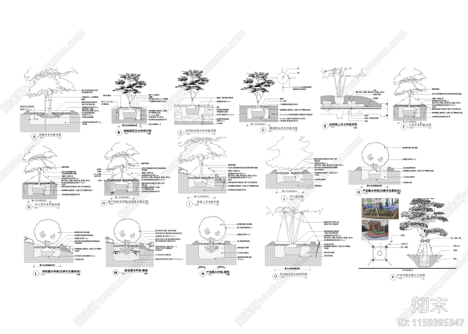 植物标准种植图施工图下载【ID:1159395347】
